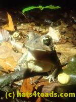 /home//u458753944/public_html/sourcegallery//McKaig Nature Center/2024-09-27/P9271580.JPG